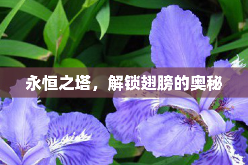 解锁翅膀的奥秘图片