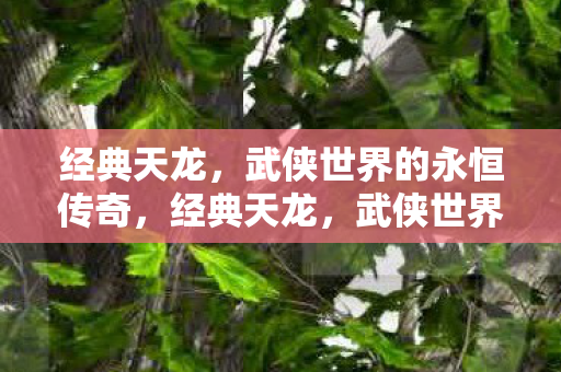 武侠世界的永恒传奇图片