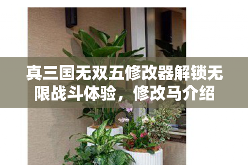 真三国无双五修改器解锁无限战斗体验图片