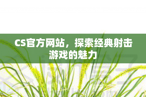 探索经典射击游戏的魅力图片