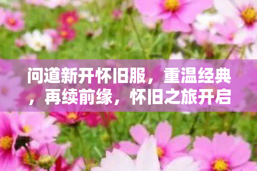 问道新开怀旧服图片