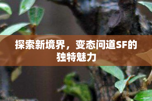 变态问道SF的独特魅力图片
