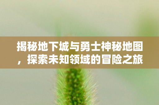揭秘地下城与勇士神秘地图图片