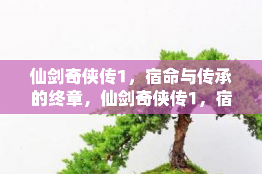 宿命与传承的终章图片