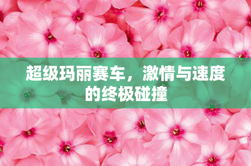 激情与速度的终极碰撞图片