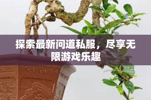 探索最新问道私服图片