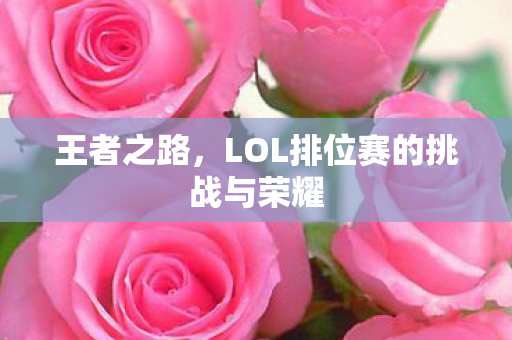 LOL排位赛的挑战与荣耀图片