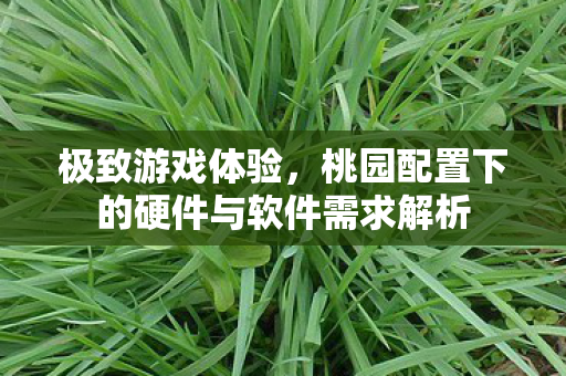 桃园配置下的硬件与软件需求解析图片