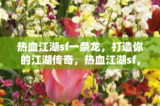 打造你的江湖传奇之旅图片