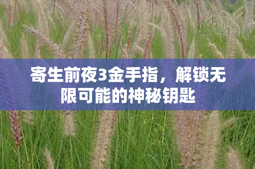 解锁无限可能的神秘钥匙图片