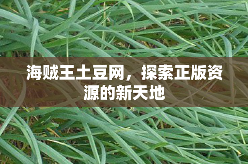 探索正版资源的新天地图片