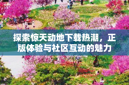正版体验与社区互动的魅力图片