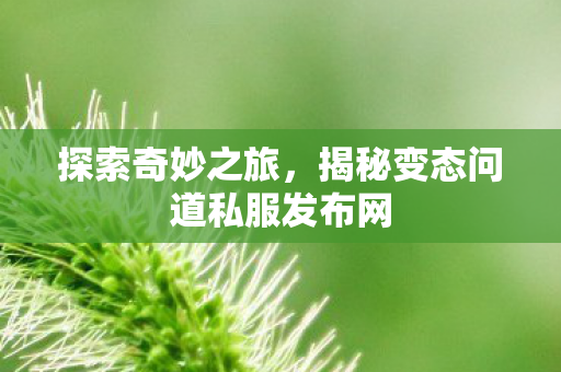 揭秘变态问道私服发布网图片
