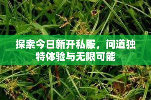 问道独特体验与无限可能图片