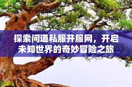 开启未知世界的奇妙冒险之旅图片