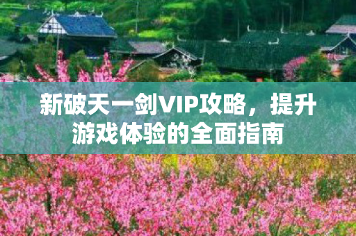 新破天一剑VIP攻略,提升游戏体验的全面指南 新破天一剑VIP攻略,提升游戏体验的全面指南