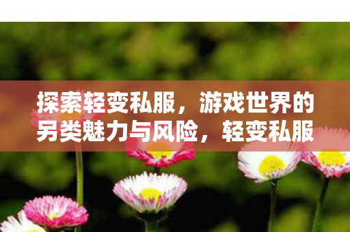 探索游戏世界的另类魅力与风险图片
