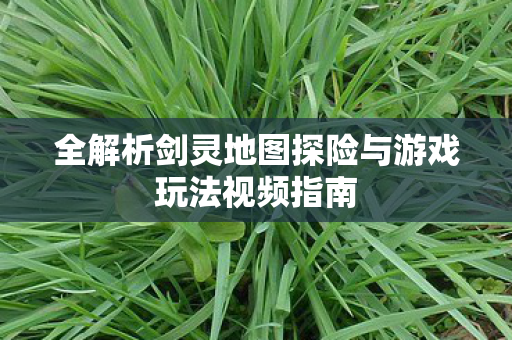 全解析剑灵地图探险与游戏玩法视频指南图片