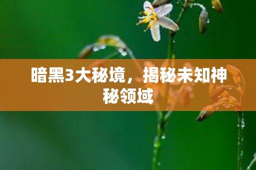 揭秘未知神秘领域图片