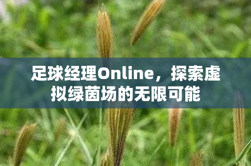 探索虚拟绿茵场的无限可能图片