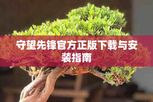 守望先锋官方正版下载与安装指南图片