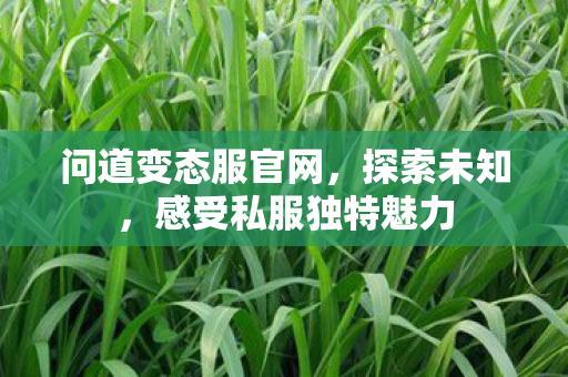 感受私服独特魅力图片