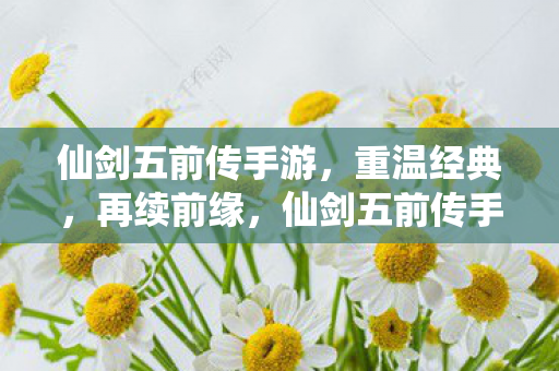仙剑五前传手游图片