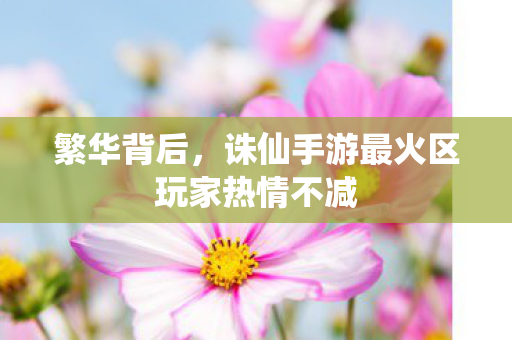 繁华背后，诛仙手游最火区玩家热情不减