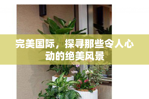 完美国际，探寻那些令人心动的绝美风景