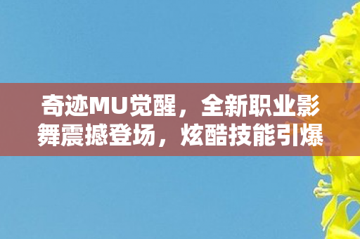 全新职业影舞震撼登场图片
