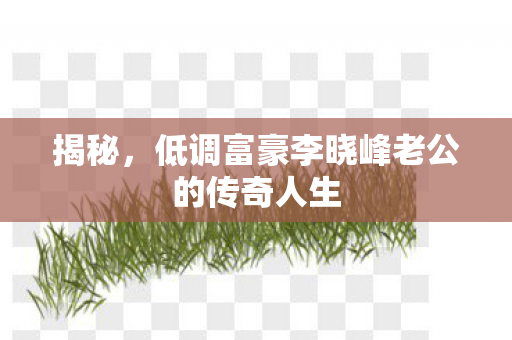 低调富豪李晓峰老公的传奇人生图片