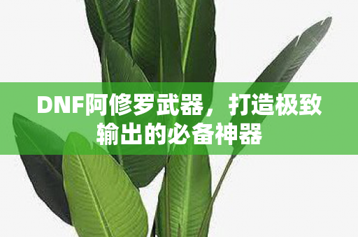 打造极致输出的必备神器图片