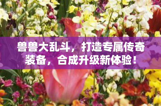 打造专属传奇装备图片