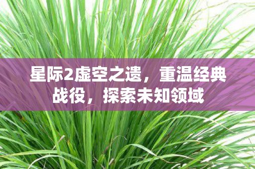 星际2虚空之遗图片