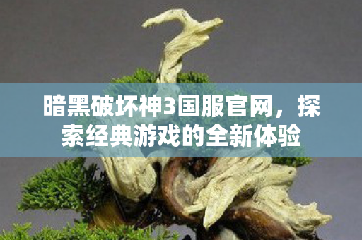 探索经典游戏的全新体验图片