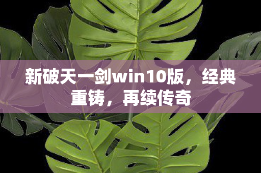 新破天一剑win10版图片