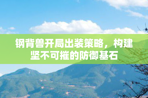 构建坚不可摧的防御基石图片