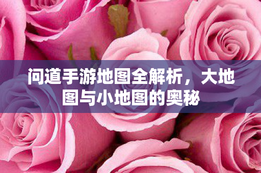大地图与小地图的奥秘图片