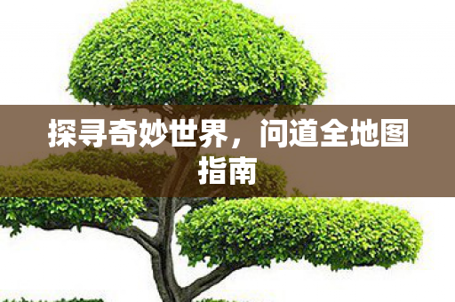 问道全地图指南图片