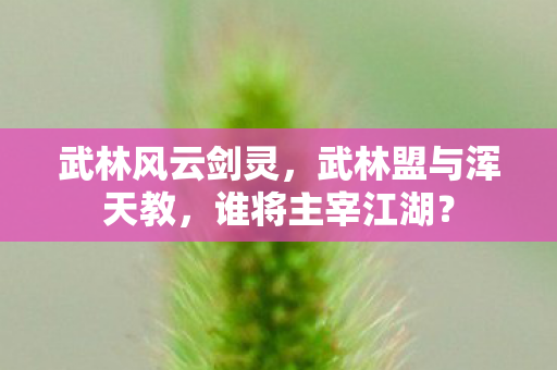 武林盟与浑天教图片
