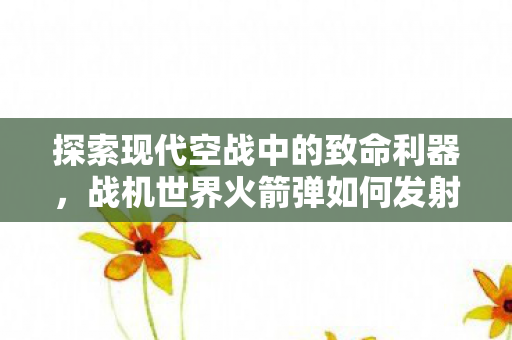 探索现代空战中的致命利器图片