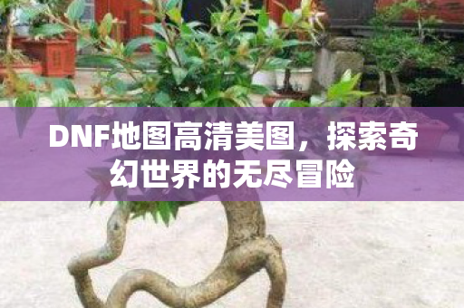 探索奇幻世界的无尽冒险图片