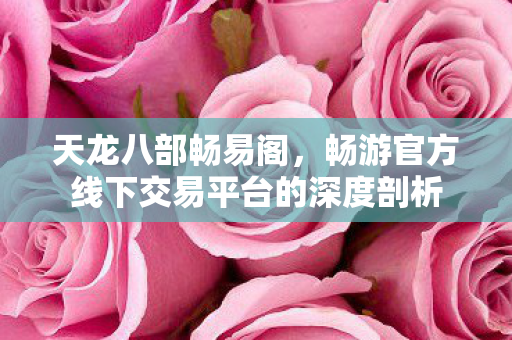 畅游官方线下交易平台的深度剖析图片