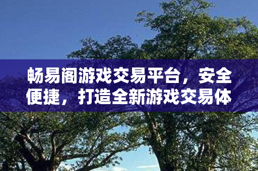 打造全新游戏交易体验图片