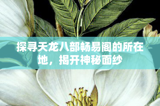 探寻天龙八部畅易阁的所在地图片