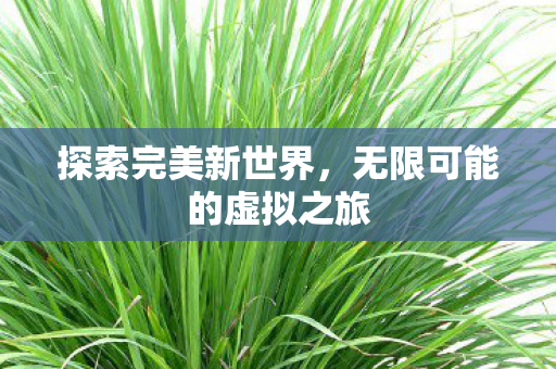 无限可能的虚拟之旅图片