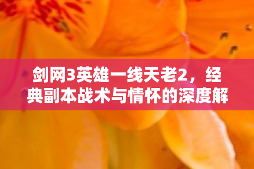 经典副本战术与情怀的深度解析图片