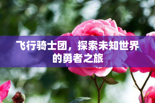 探索未知世界的勇者之旅图片