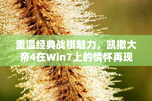 凯撒大帝4在Win7上的情怀再现图片