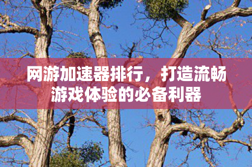 打造流畅游戏体验的必备利器图片